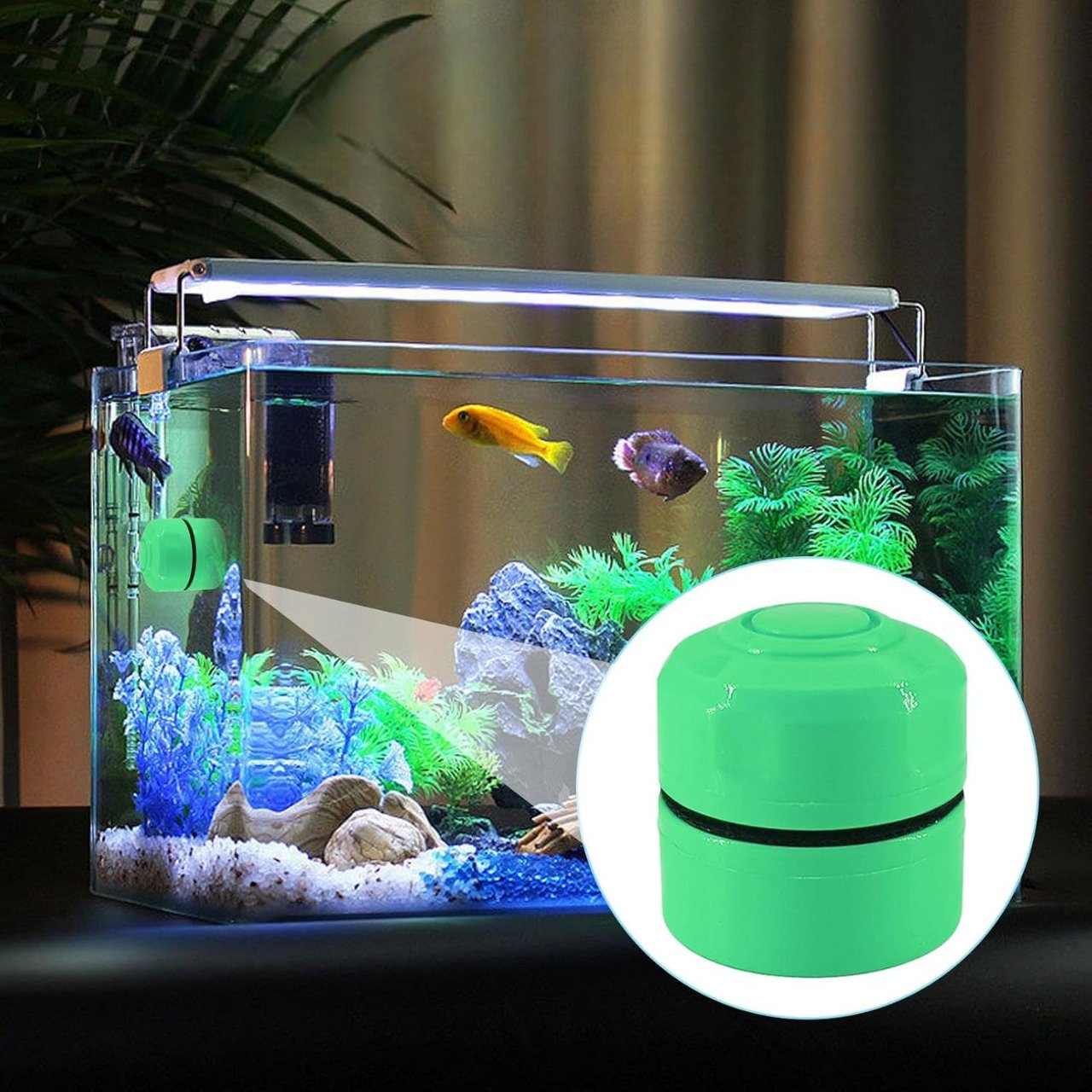 Nettoyeur Vitre - BrushGlassCleaner™ - Vert - Aqua Malin