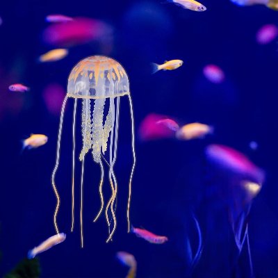 Décor Aquarium - GlowingJellyfish™ - Orange - Aqua Malin